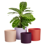 lex pott set 15cm lilas doux